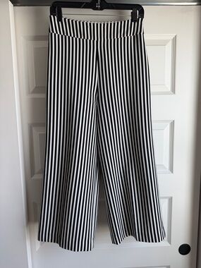 Express Black and White Vertical Stripe Pants